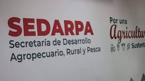 images (4)