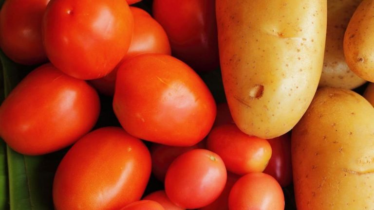 papa-tomate