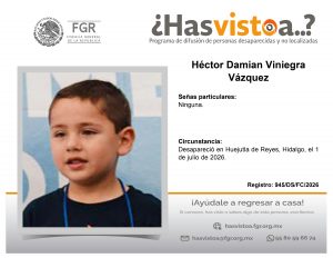 Hector-Damian-Viniegra-Vazquez-300x232.jpg