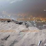 102947mortandad_vega_7_7