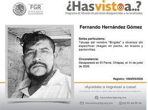 15 Fernando Hernández Gómez