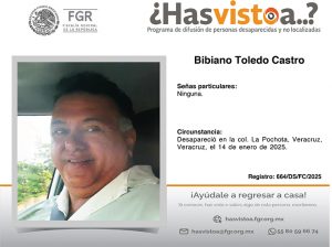 24 Bibiano Toledo Castro copia