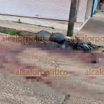 095910visceras_2_1
