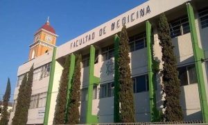 images (7)