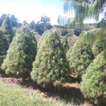 IMG-20261013-WA0004